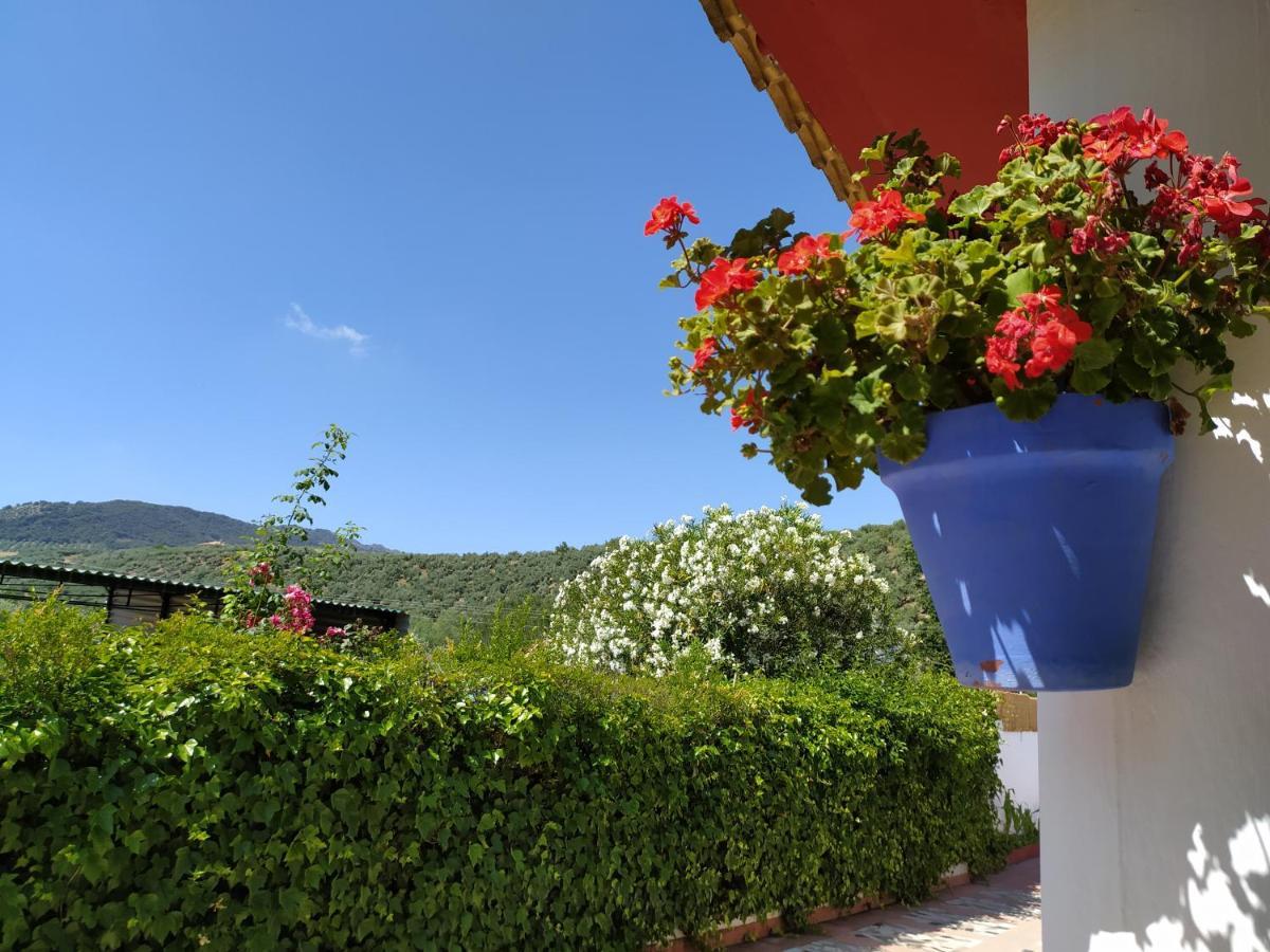 Villa Frasquita Priego de Córdoba Extérieur photo