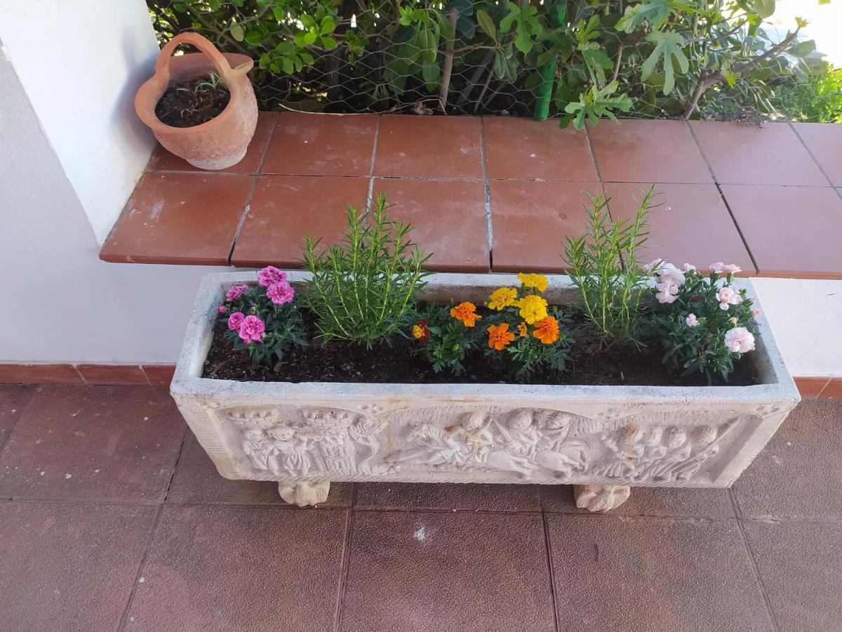 Villa Frasquita Priego de Córdoba Extérieur photo
