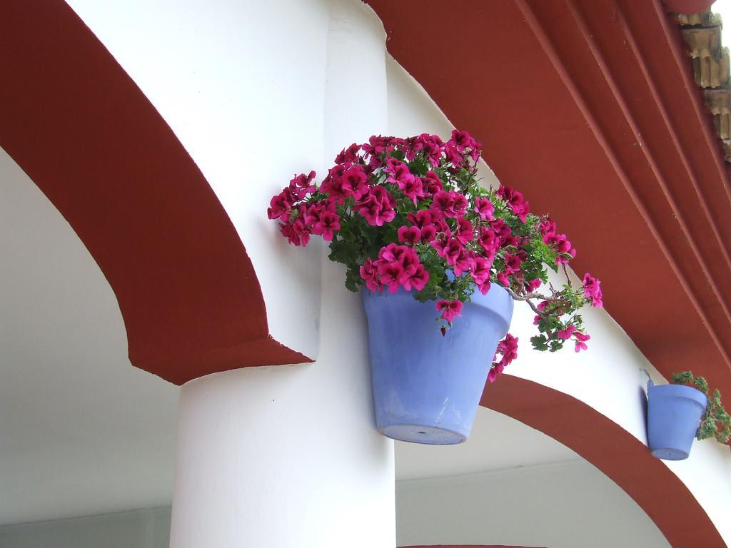 Villa Frasquita Priego de Córdoba Extérieur photo